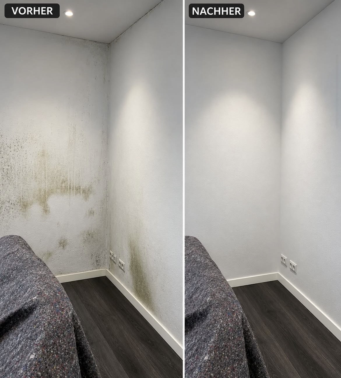 Schimmelwand saniert – vorher und nachher